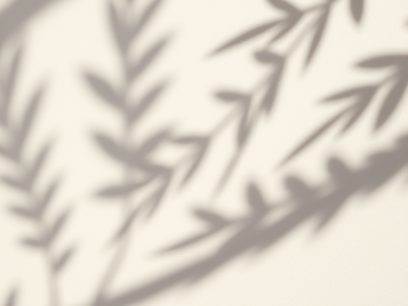 What HR Taught Me About the Human&nbsp;Mind